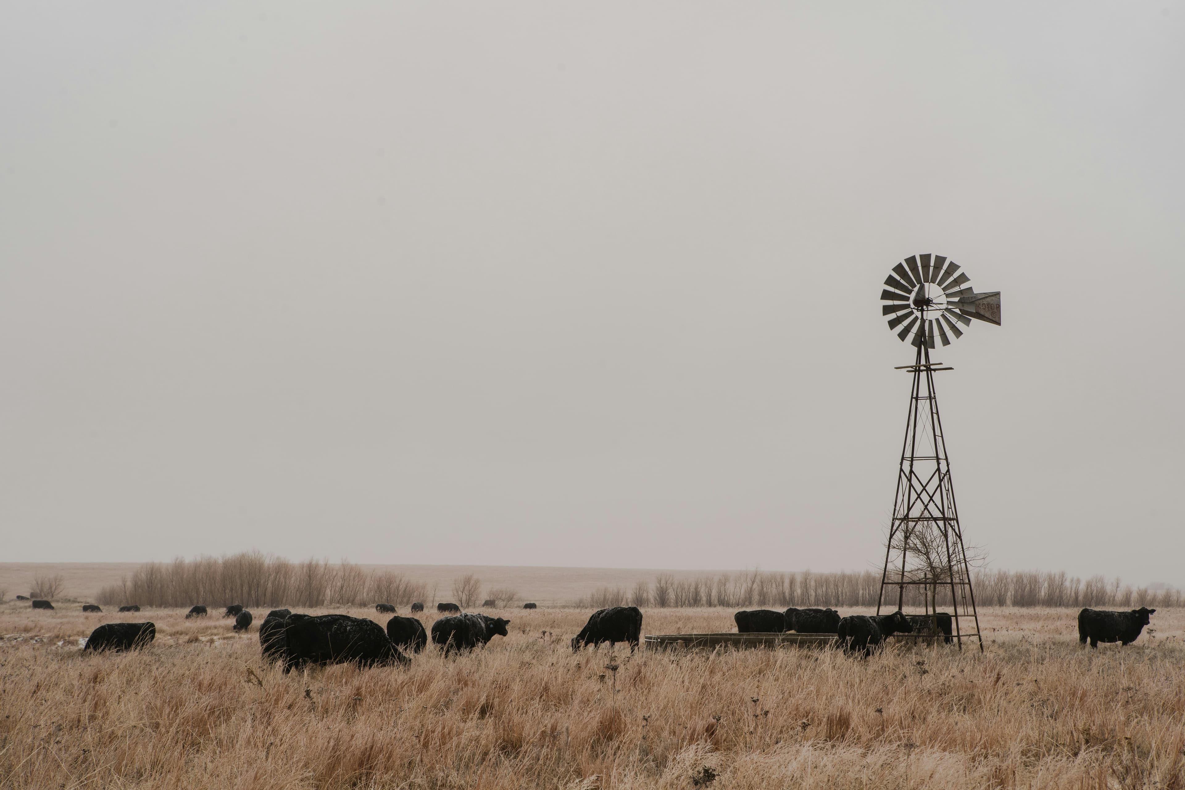 Kansas landmark