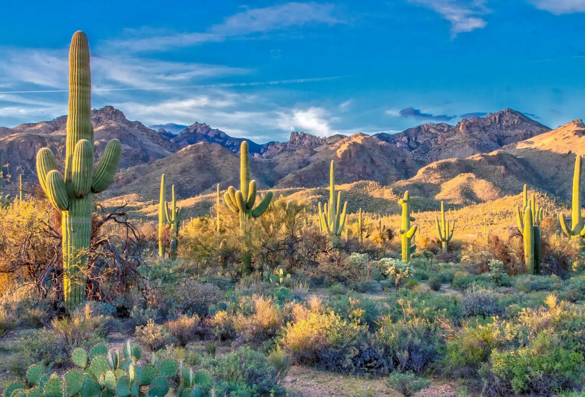 Arizona landmark